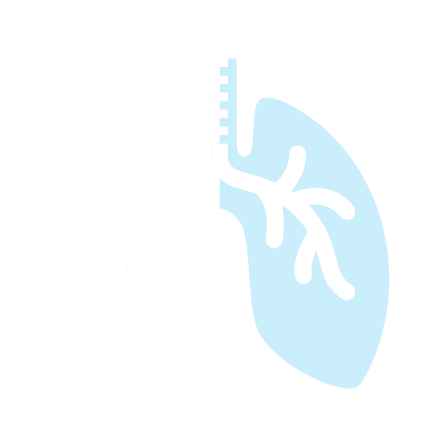 Lungs@4x